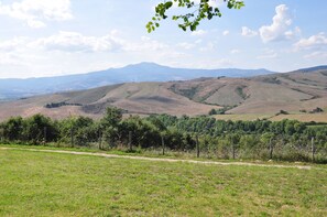 Garden, Scenic View