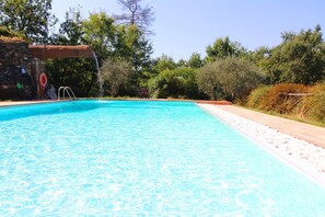 Wasser, Pflanze, Himmel, Schwimmbad, Schatten, Rechteck, Baum, Natürliche Landschaft, Aqua, Freizeit