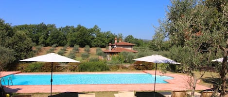 Plante, L'Eau, Propriété, Ciel, Parapluie, Piscine, Bleu Azur, Ombre, Arbre, Mobilier De Jardin