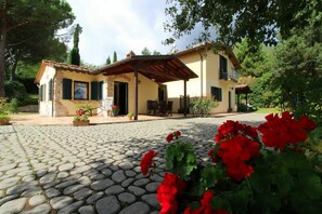 Fleur, Plante, Propriété, Bâtiment, Ciel, Botanique, Fenêtre, Arbre, Porte, Maison