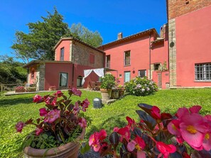 Flower, Sky, Plant, Window, Building, Green, Flowerpot, Tree, Grass, House