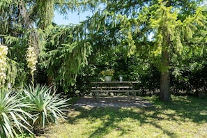 Building Exterior, Garden