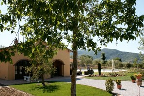 Building Exterior, Garden