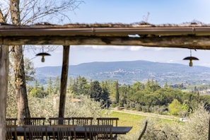 Garden, Outdoor, Scenic View