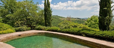 Property, Natural Landscape, Water, Swimming Pool, Estate, Garden, Grass, Real Estate, Botany, Tree