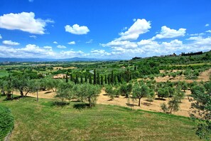 Outdoor, Scenic View, Summer