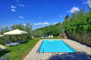 Garden, Pool