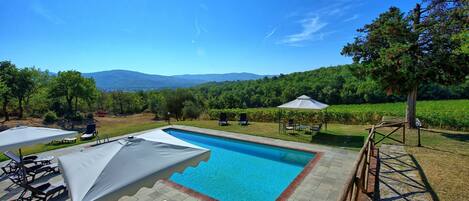 Pool, Scenic View, Summer