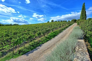 Outdoor, Scenic View