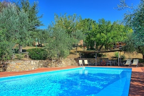 Garden, Pool