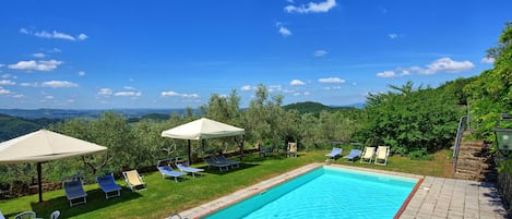 Garden, Pool