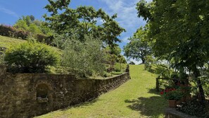 Gras, Grün, Baum, Blatt, Vegetation, Natürliche Landschaft, Strauch, Landschaft, Ländliches Gebiet