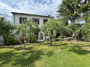 House, Shrub, Residential Area, Garden, Home, Lawn, Backyard, Yard, Estate
