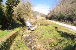 Outdoor, Scenic View