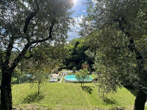 Plant, Plant Community, Sky, Tree, Natural Landscape, Shade, Land Lot, Vegetation, Sunlight, Biome