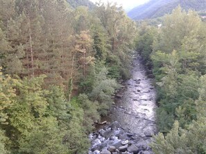 Scenic View