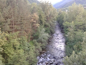 Scenic View