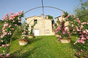 Building Exterior