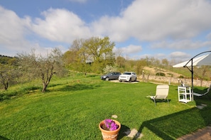 Garden, Scenic View