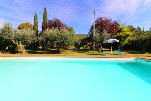 Cloud, Water, Sky, Plant, Daytime, Swimming Pool, Tree, Natural Landscape, Shade, Grass
