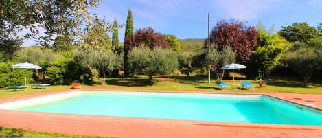 L'Eau, Nuage, Plante, Ciel, Piscine, Arbre, Ombre, Herbe, Loisir, Paysage