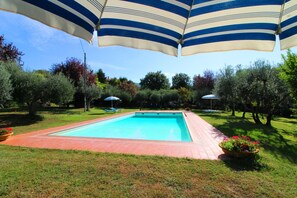 Plant, Property, Water, Umbrella, Sky, Azure, Tree, Swimming Pool, Shade, Building