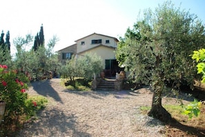 Building Exterior, Garden