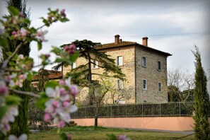 Blume, Pflanze, Himmel, Wolke, Gebäude, Fenster, Haus, Blütenblatt, Gras, Wand