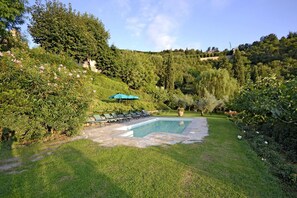 Garden, Outdoor, Pool