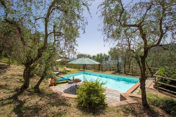 Garden, Pool