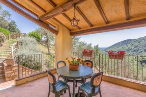 Balcony / Terrace / Patio