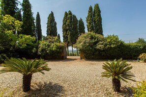 Garden, Outdoor