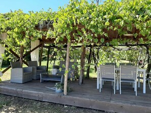 Plant, Shade, Botany, Sky, Shrub, Grass, Tree, Outdoor Bench, Groundcover, Flowering Plant