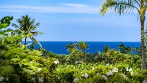 Ocean Views from the Pool area