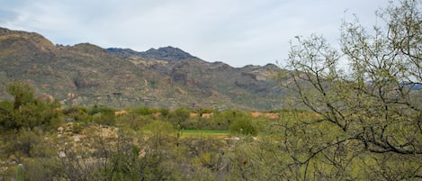 Terrain de l’hébergement 