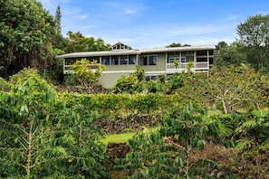 Coffee Grows Below the Home on this Boutique Farm