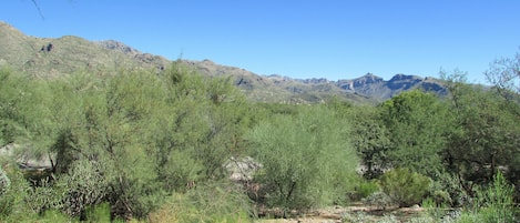 View from Patio of Catalina Mountains - Picture Description
