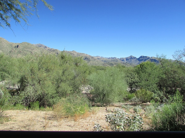 View from Patio of Catalina Mountains - Picture Description