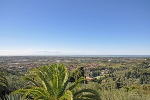 Garden, Scenic View