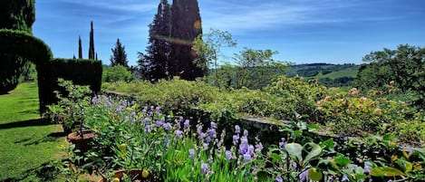 Garden, Scenic View