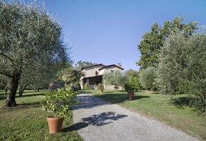 Building Exterior, Garden