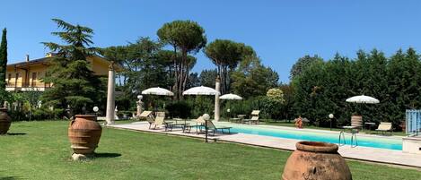 Plant, Sky, Water, Property, Botany, Azure, Tree, Window, Shade, Swimming Pool