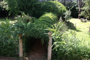 Planta, El Terreno Del Lote, Árbol, Hierba, Hojas Perennes, Plantas Leñosas, Cobertura Del Suelo, Cobertura, Arbusto, Paisaje Natural