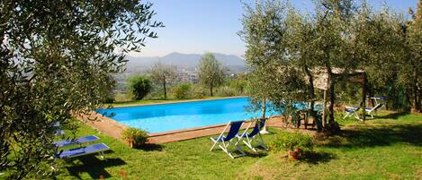 Garden, Pool, Scenic View