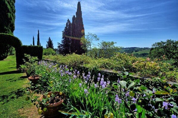 Garden, Scenic View