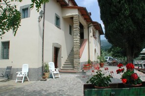 Pianta, Fiore, Costruzione, Proprietà, Finestra, Vaso Di Fiori, Albero, Sedia, Urban Design, Casa