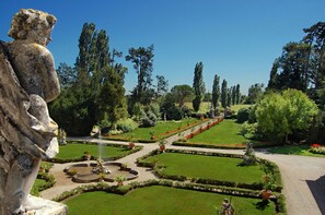 Garden, Scenic View