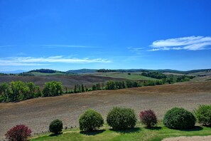 Garden, Outdoor, Scenic View