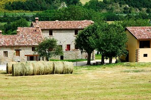 Outdoor, Scenic View