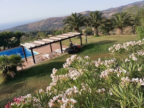 Garden, Outdoor, Pool
